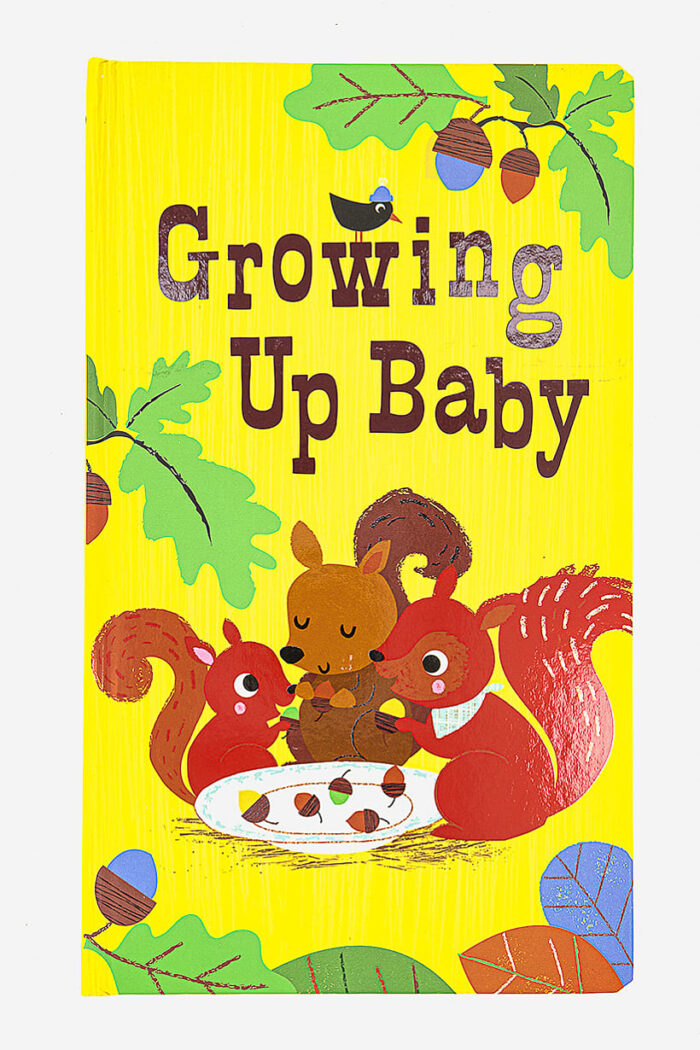 Growing Up Baby (Oversized) Board Book Five Stories