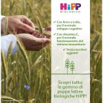 Hipp Mixed fruit cereal 250g - Image 3