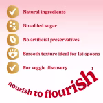 Cow & Gate Cauliflower Baby Food Snack Jar 6+ Months 125g - Image 3