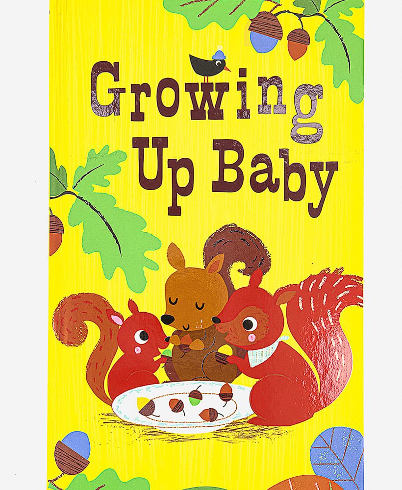 Growing Up Baby (Oversized) Board Book