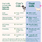 Nannycare Goat Stage 3 Toddler Milk 800g - Image 4
