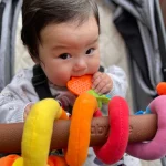 Playgro Amazing Garden Twirly Whirly Teether Sensory Stroller Toy - Image 5